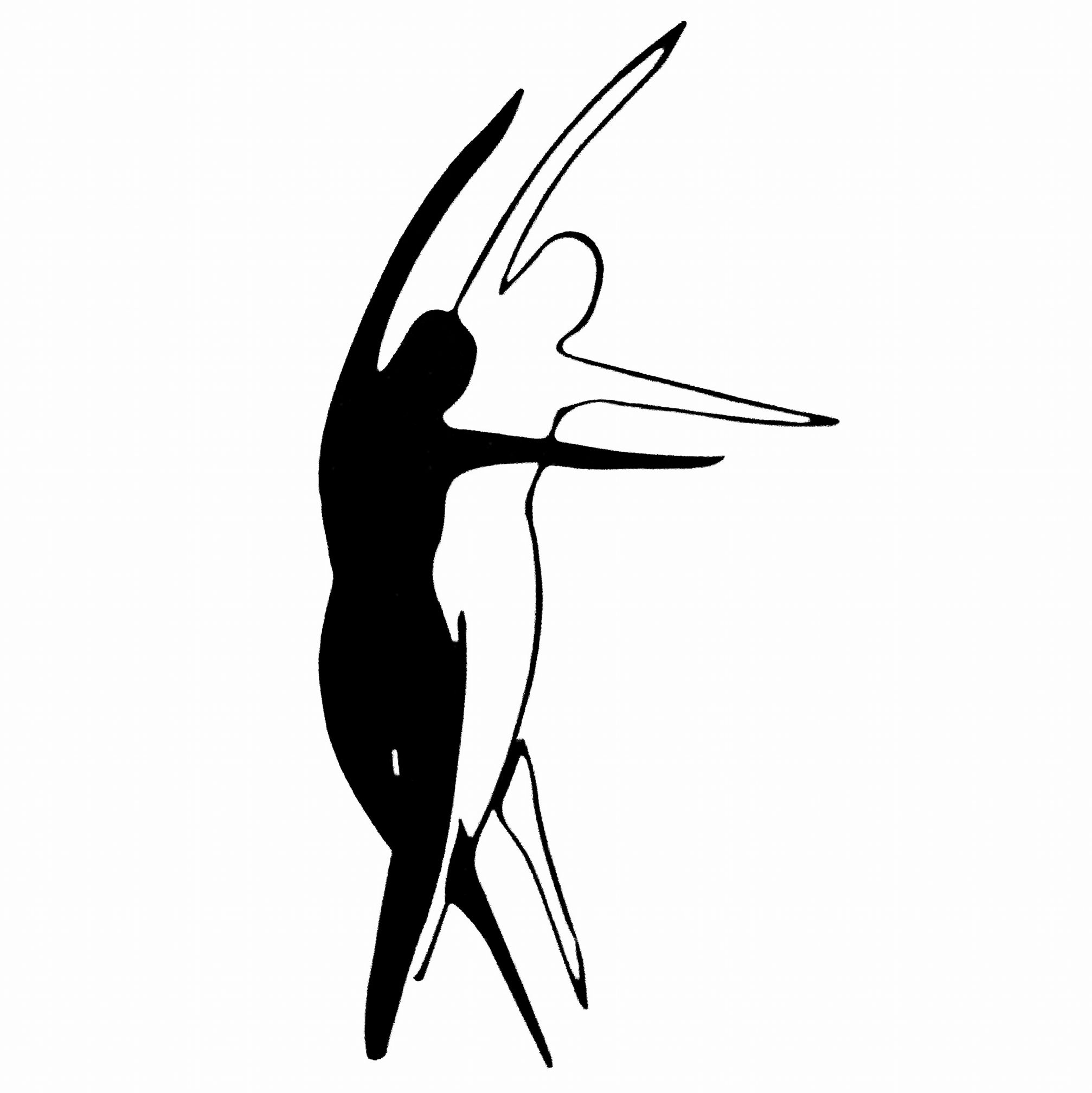 Vivre la danse vidéo du spectacle