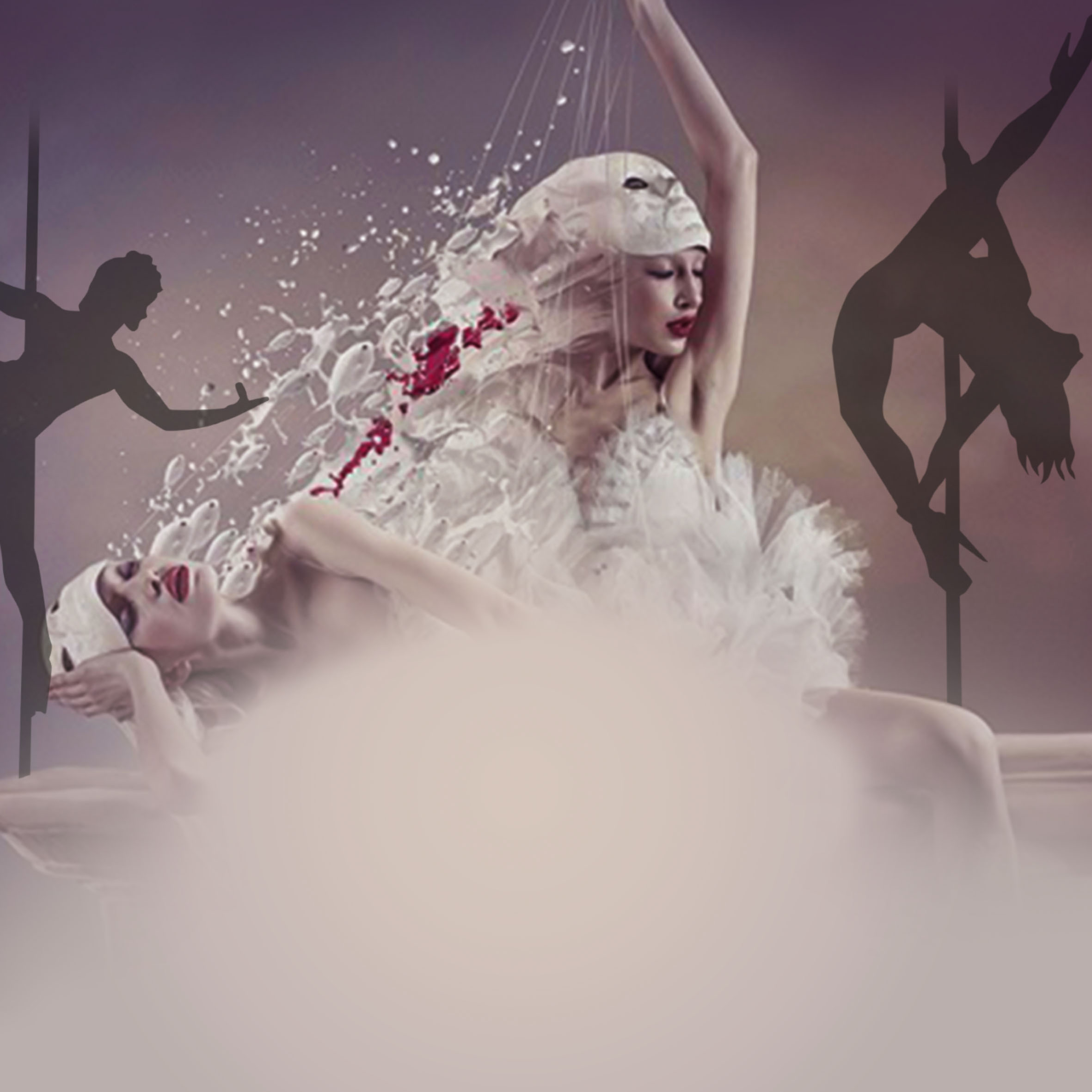 Vinogradoff Pole dance Toulon